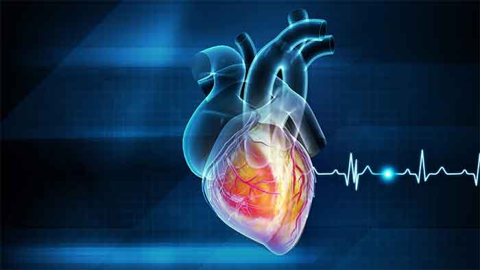 برای محافظت از قلب چقدر ورزش کنیم؟ شاید ۱۵۰ دقیقه کافی نباشد